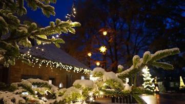 Weihnachtliches Tierparkticket